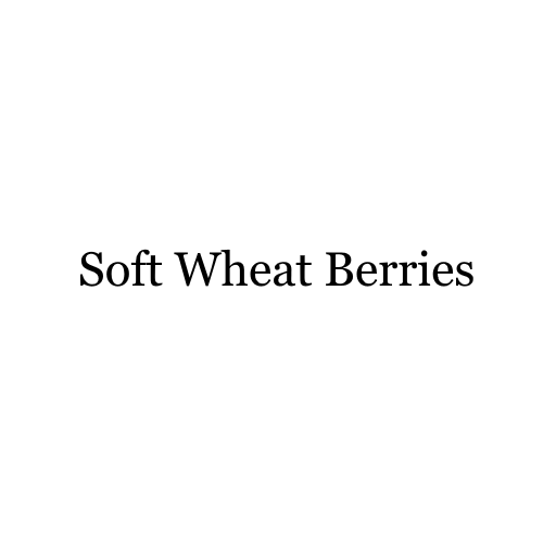 Soft Wheat Berries Bulk